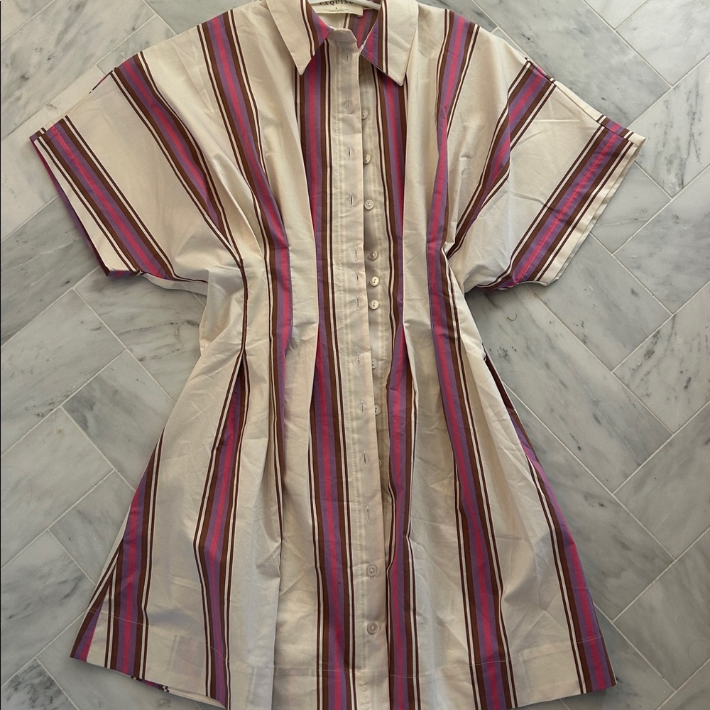 NWOT Anthropologie tobie mini shirt dress
